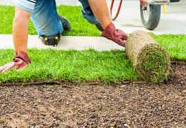 Sod and Turf Installation