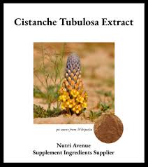 Image result for Cistanche