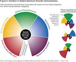 The autism spectrum encompasses a range of neurodevelopmental conditions, including autism and asperger syndrome, generally known as autism spectrum disorders (asd). Helping Youth With Autism Watchblog Official Blog Of The U S Government Accountability Office