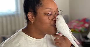 National Aviary Hike-A-Thon 2021 by National Aviary