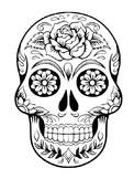 Being a popular aspect of halloween, skulls and skeletons have made their way into children's art and painting. Sugar Skull Template Worksheets Teaching Resources Tpt