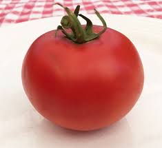 Maybe you would like to learn more about one of these? When To Plant Tomato Seeds In Louisiana Cromalinsupport