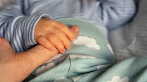 Quel est celui qui a eu le plus de succès dans le rhône? Quels Sont Les Prenoms Les Plus Donnes En France