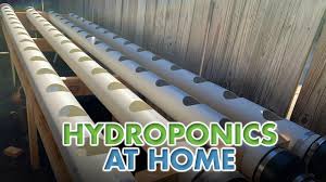 Nowadays, it's easier than ever to create your own vertical garden with modular planting. Hydroponics At Home Youtube