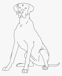 Surfboard coloring online coloring pages starting with. Great Dane Coloring Page Line Art Hd Png Download Transparent Png Image Pngitem