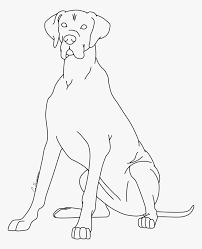 Free printable funny great dane coloring pages available in high quality image and pdf format. Great Dane Coloring Page Line Art Hd Png Download Transparent Png Image Pngitem