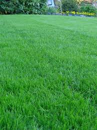 Use this site to explore the myriad of landscape jobs available in your area. Jobs Archives Nice Precise Lawn Care Services