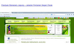 Paparan terbaik dengan menggunakan perisian mozilla firefox 29.0 ke atas atau internet explorer. Tanaman Makanan Food Crops Agr3502 Corn Maize Zea Mays Family Poaceae Ppt Download
