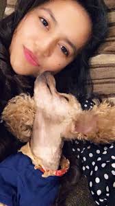 Lost and Found Pets: Houston & Surrounding Areas