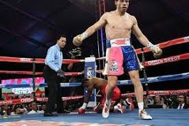 The world championship bout held on march 17, 1990 between wbc world champion julio césar chávez of mexico and ibf world champion meldrick. Julio Cesar Chavez Jr Is Back Ko Sieg In Runde 1