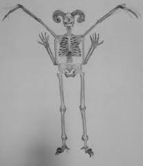 Artstation Skeleton Drawings Senan Gavin