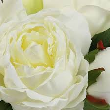 Mit über 1000 gartenpflanzen haben wir das grösste online angebot der schweiz. Blumenstrauss Pfingstrosen Weiss L30cm 76730 Einkaufen In Der Schweiz