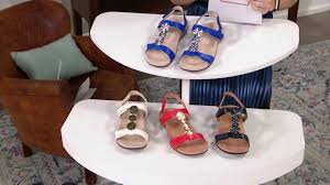Check spelling or type a new query. Sandra Bennett Qvc Feet Sandra Bennett S Feet Wikifeet Early Career Before Qvc Madie Leggett