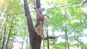 House feels like a treehouse in the back with view and privacy. Best Tree House Ideas Images Tree House Designs Treehouse Austin Zipline
