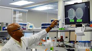 Organic bio fertilizer,bio charchoal,oil palm waste,crude palm oil,bio diesel,environmental biotechnology research group. Malaysia S Biotech Landscape Finally Starting To Emerge The Star