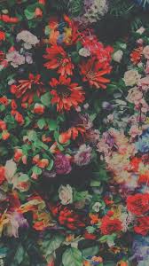 My Lockscreens Flowers Nature Wallpaper Flower Wallpaper Iphone Wallpaper