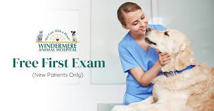 We have specialist surgeons available to consult and operate seven days a week covering all body systems. Windermere Animal Hospital Veterinarian In Fishers In