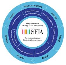 Sfia Services Validate Skills