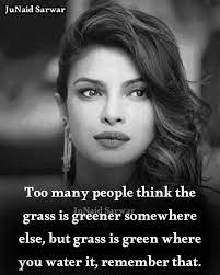 Dave Proy's Instagram, Twitter & Facebook