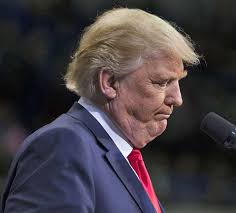 Debra Stubblefield Boren"