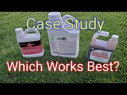 Do Liquid Thatch Removers Or Digesters Work Youtube