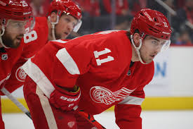 On top of the hoodies, tees, and even jackets worn at the game, most fans sport their player's official replica jersey as a mark of their dedication to the team. 4 Big Questions For The Detroit Red Wings In The 2020 21 Nhl Season Page 3