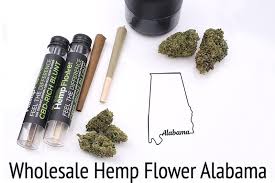 Hempton farms assumes no responsibility for penalties as a result of changing local or state laws. Buy Usa Grown Bulk Cbd Wholesale Hemp Flower Alabama
