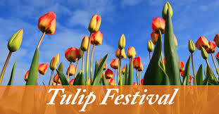 If you live in the national capital region — d.c., maryland, virginia — where most giant foods locations can be found, then your odds of scoring a free turkey for thanksgiving 2020 are good. Thanksgiving Point Coupon 2 Off Weekday Tulip Festival Coupons 4 Utah