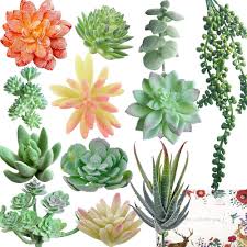 Maybe you would like to learn more about one of these? Kitchwise 12 Artificial Succulents Faux Succulent Plants And Flowers Kitchwise