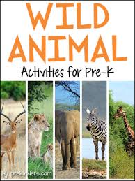 For beginners and young kids. Wild Animals Activities And Lesson Plans For Pre K And Preschool Prekinders