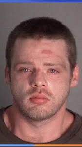 Man accused of choking Chihuahua, girlfriend