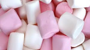 images?q=tbn:ANd9GcQJ_s4kD0wRBo_6wLP-PXuXcni4e4Xdr55xr1V0D3xrvmfcCKB7Kg