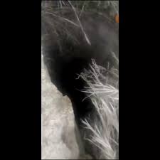 Молодые упала в яму watch online