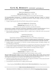 museum director resume december 2020