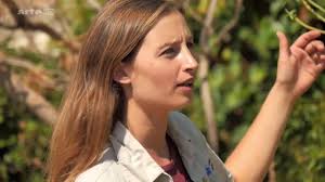 Auf arte läuft zur zeit am nachmittag eine serie von 20 sendungen magische gärten endlich wieder einmal sehenswerte gartensendungen! Magische Garten Rayol Youtube