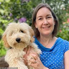 Rescuers reunite Amber the missing labradoodle with her owner two days  after the two-year-old dog vanished