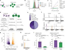 Suzu Honjo in START220 - an essential JAV masterpiece