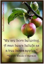 Pin On Homeschool Mom Encouragement