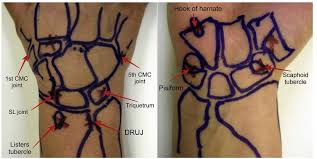 Image result for Shuck Test