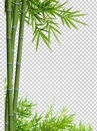 Bamboo Stock Photography Png Bamboo 19 0 1 Bamboo Border Bamboo Frame Bamboo Leaf Bamboo Leaves Bamboo Background Bamboo Frame Digital Flowers