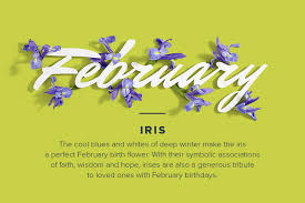 Birth Flowers For Each Month Birthday Flowers By Month Proflowers Blog February Birth Flowers Birth Flowers Birthday Flowers