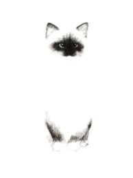 Black And White Siamese Cat Drawing Pin By Diana Thayer On Arts Crafts Charcoal Cat Painting Watercolor Cat Animal Art