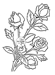 Print out 26 pretty flower coloring of american roses, english rose coloring pages kids wild prairie rose. Red Rose Coloring Pages Flowers Roses All Round Hobby