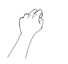手の描き方を徹底解説！グーの形を描いてみよう | MediBang Paint – 無料のイラスト・マンガ制作ツール