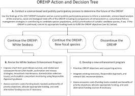 Evaluation Of A White Seabass Atractoscion Nobilis