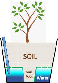 We did not find results for: Self Watering Planters Diy Demo How They Work Tips For Use