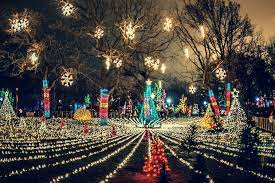 Lincoln Park Zoolights Starts Friday With Two Million Lights Lincoln Park Chicago Dnainfo
