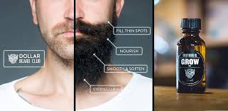 This is a profile preview from the pitchbook platform. Dollar Beard Club Jon Mctavish