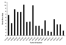 Mtn 121 5 9 In Water Observations Of Recently Released