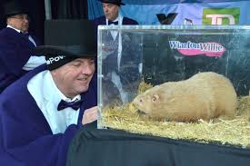 Groundhog Day: Punxsutawney Phil Doesn'T See His Shadow, Predicts Early  Spring | Watch News Videos Online